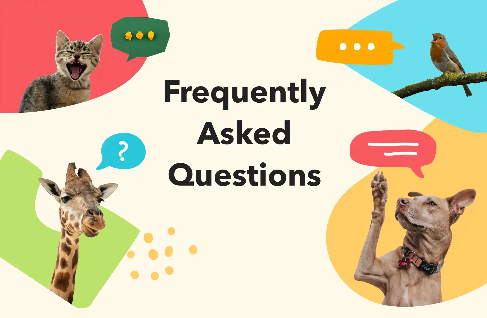 Frequently Asked Question cover